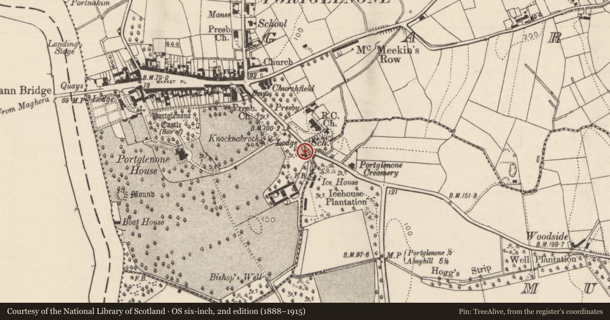 Ordnance Survey six-inch map, 2nd edition (1888–1915) covering the location of COTTAGE, PILLARS, Walls And Gate, Mid and East Antrim, with a pin at the register's coordinates