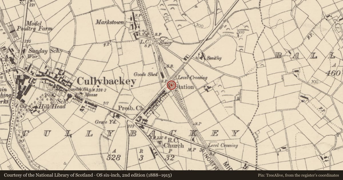 Ordnance Survey six-inch map, 2nd edition (1888–1915) covering the location of Cullybackey Halt, Mid and East Antrim, with a pin at the register's coordinates