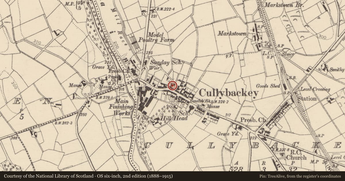 Ordnance Survey six-inch map, 2nd edition (1888–1915) covering the location of 85-87 Main St., Mid and East Antrim, with a pin at the register's coordinates