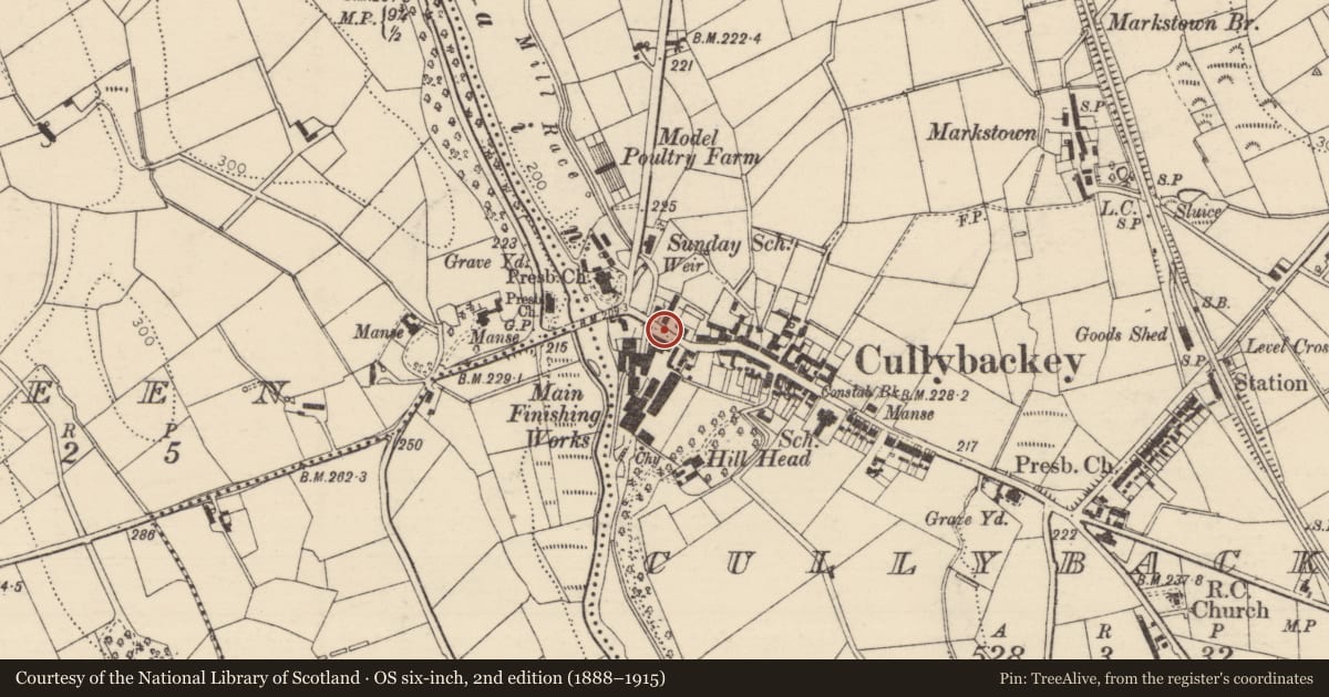 Ordnance Survey six-inch map, 2nd edition (1888–1915) covering the location of MILL, Mid and East Antrim, with a pin at the register's coordinates