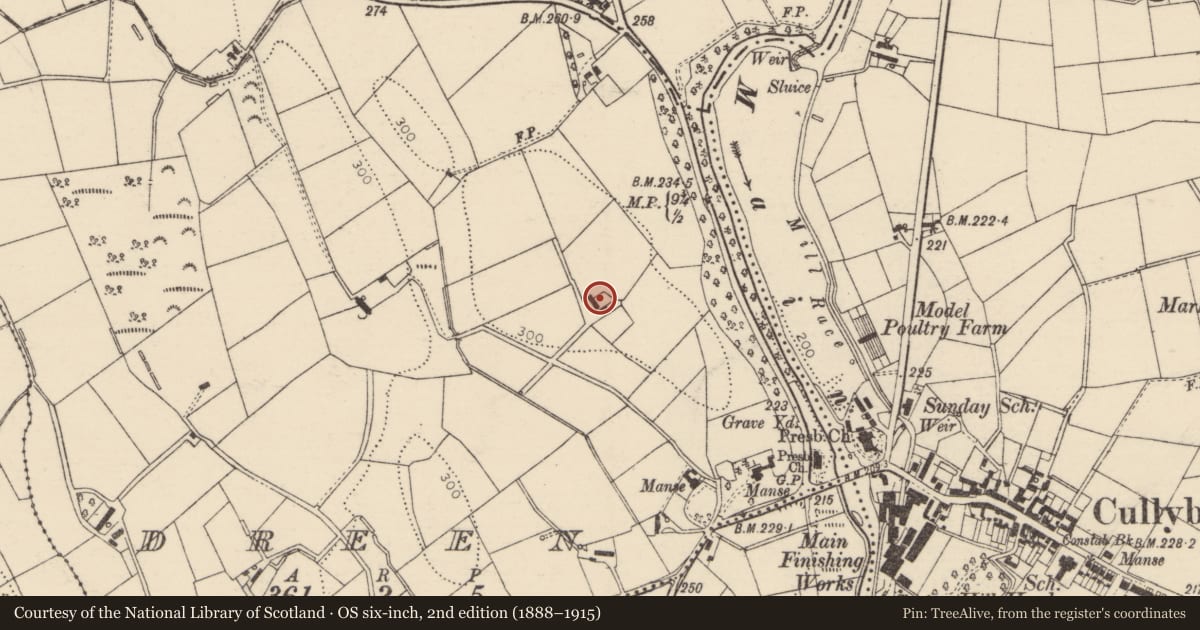 Ordnance Survey six-inch map, 2nd edition (1888–1915) covering the location of Arthur Cottage, Dreen, Mid and East Antrim, with a pin at the register's coordinates