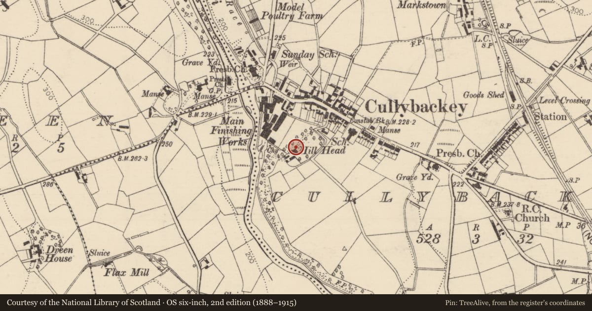 Ordnance Survey six-inch map, 2nd edition (1888–1915) covering the location of Hill Head, Mid and East Antrim, with a pin at the register's coordinates