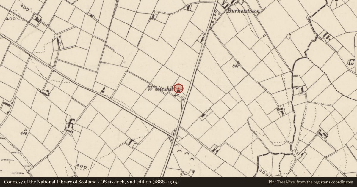 Ordnance Survey six-inch map, 2nd edition (1888–1915) covering the location of "WHITESHILL", Mid and East Antrim, with a pin at the register's coordinates