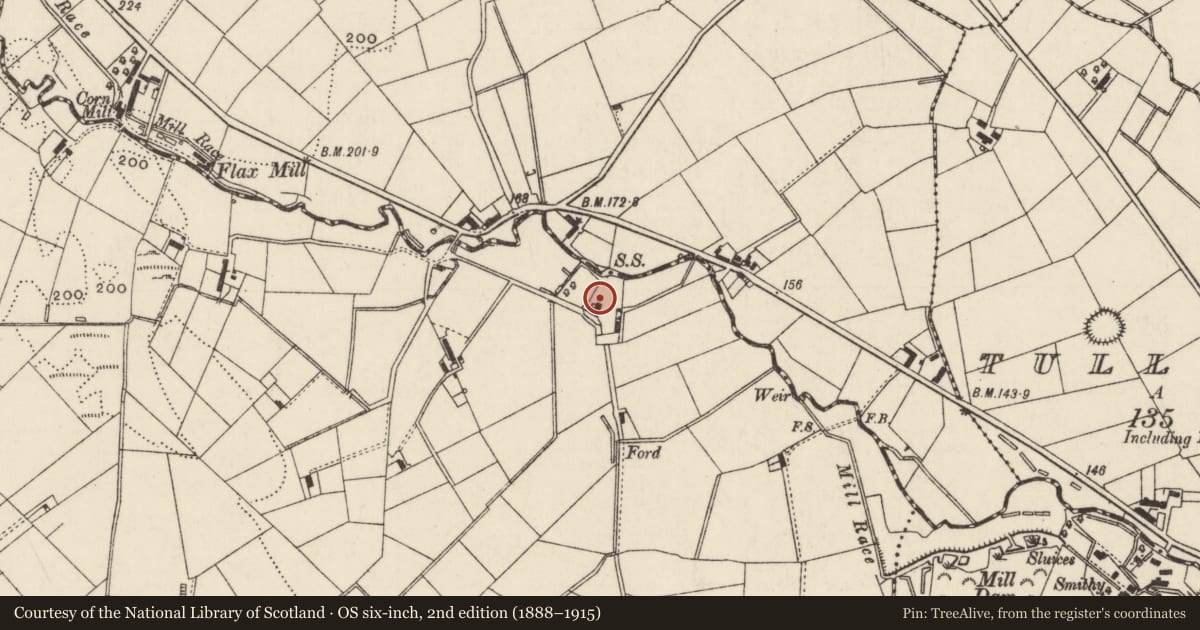 Ordnance Survey six-inch map, 2nd edition (1888–1915) covering the location of Old ('cruck') house at 77 Straid Road, Ballyminstra, Mid and East Antrim, with a pin at the register's coordinates