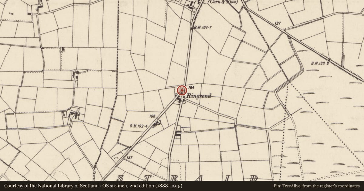 Ordnance Survey six-inch map, 2nd edition (1888–1915) covering the location of Rose Cottage, Straid, Mid and East Antrim, with a pin at the register's coordinates