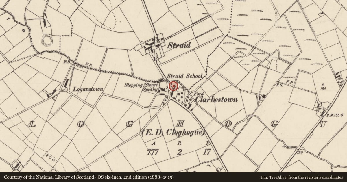 Ordnance Survey six-inch map, 2nd edition (1888–1915) covering the location of 140 Nursery Road, Mid and East Antrim, with a pin at the register's coordinates