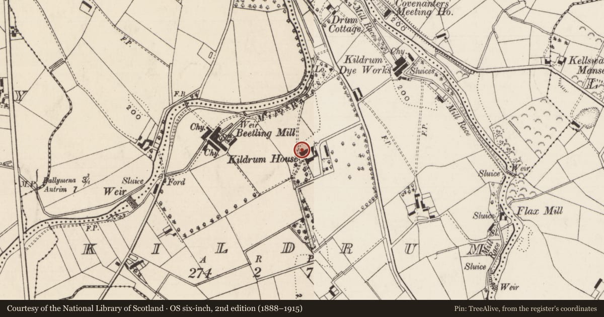 Ordnance Survey six-inch map, 2nd edition (1888–1915) covering the location of Kildrum House, Mid and East Antrim, with a pin at the register's coordinates