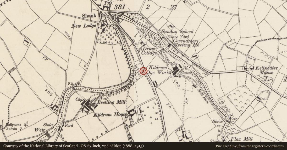 Ordnance Survey six-inch map, 2nd edition (1888–1915) covering the location of Gate Lodge And Gate Screen Of Kildrum House, Mid and East Antrim, with a pin at the register's coordinates