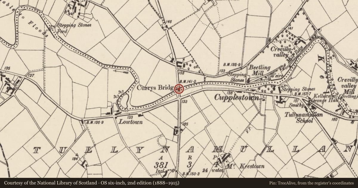 Ordnance Survey six-inch map, 2nd edition (1888–1915) covering the location of Curry'S Bridge, Mid and East Antrim, with a pin at the register's coordinates