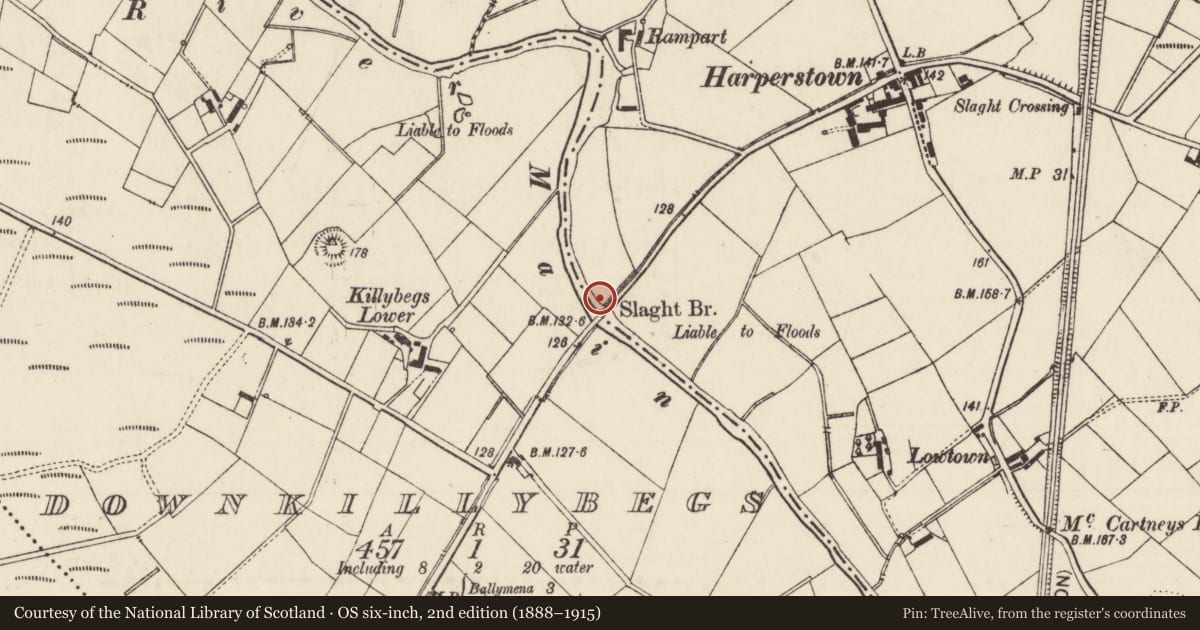 Ordnance Survey six-inch map, 2nd edition (1888–1915) covering the location of Slaght Bridge Slaght/Downkillybegs Ballymena, Mid and East Antrim, with a pin at the register's coordinates