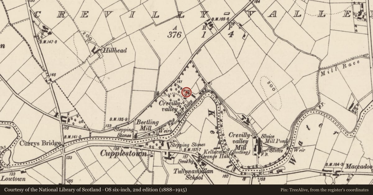 Ordnance Survey six-inch map, 2nd edition (1888–1915) covering the location of The Valley, Crevilly-Valley, Mid and East Antrim, with a pin at the register's coordinates