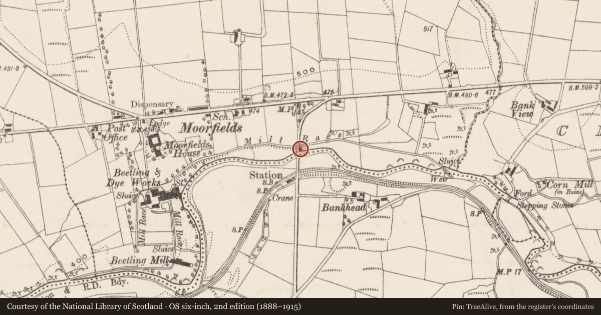 Ordnance Survey six-inch map, 2nd edition (1888–1915) covering the location of Moorfields Bridge Over The Glenwhirry River, Mid and East Antrim, with a pin at the register's coordinates