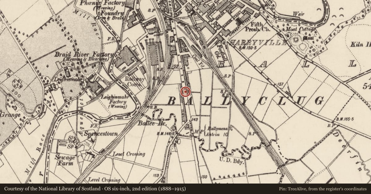 Ordnance Survey six-inch map, 2nd edition (1888–1915) covering the location of 193 Queen St., Mid and East Antrim, with a pin at the register's coordinates