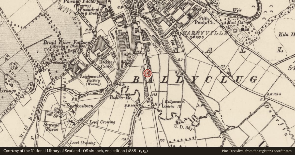 Ordnance Survey six-inch map, 2nd edition (1888–1915) covering the location of 195 Queen St., Mid and East Antrim, with a pin at the register's coordinates