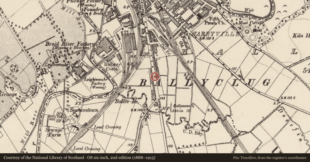 Ordnance Survey six-inch map, 2nd edition (1888–1915) covering the location of 197 Queen St., Mid and East Antrim, with a pin at the register's coordinates