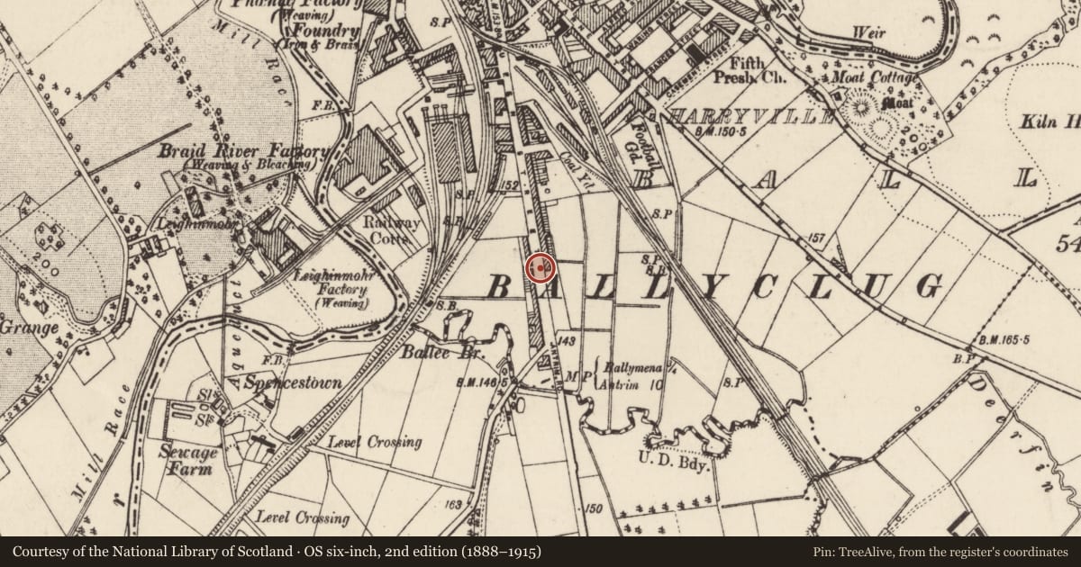Ordnance Survey six-inch map, 2nd edition (1888–1915) covering the location of 199 Queen St., Mid and East Antrim, with a pin at the register's coordinates