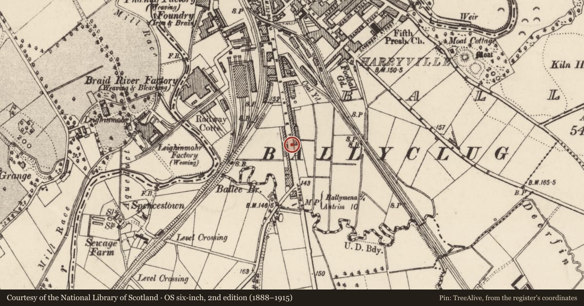Ordnance Survey six-inch map, 2nd edition (1888–1915) covering the location of 201 Queen St., Mid and East Antrim, with a pin at the register's coordinates