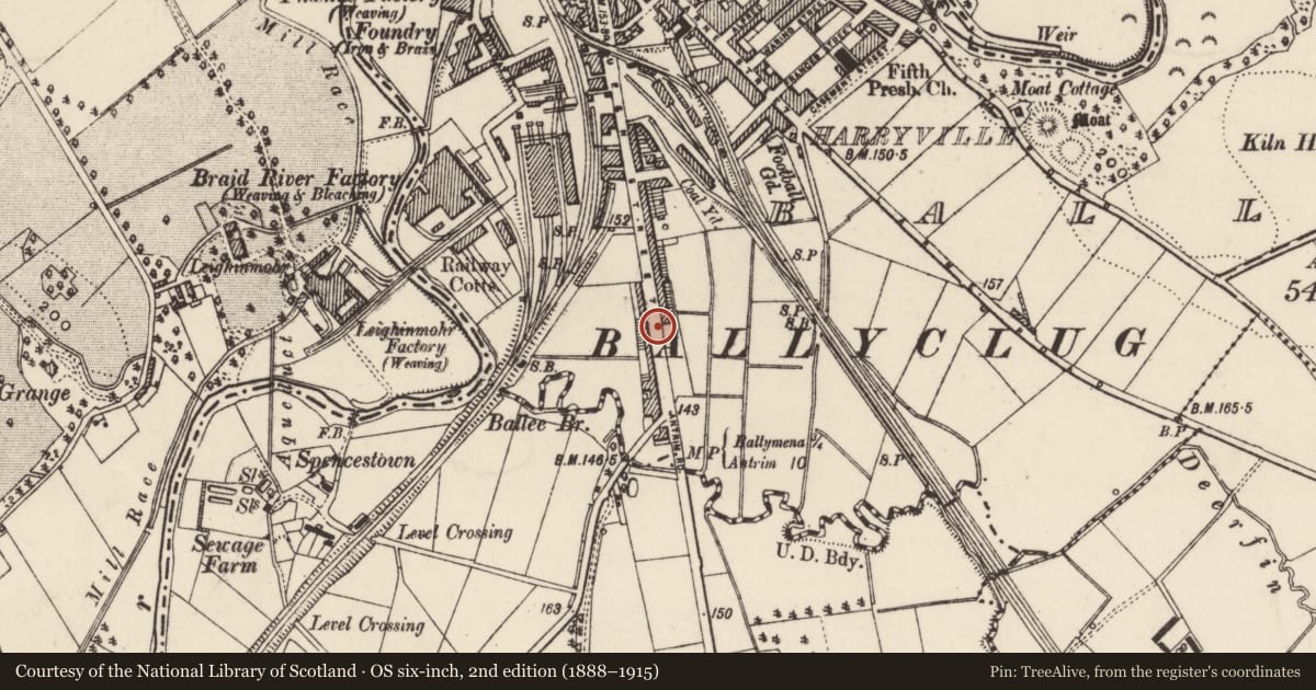 Ordnance Survey six-inch map, 2nd edition (1888–1915) covering the location of 203 Queen St., Mid and East Antrim, with a pin at the register's coordinates