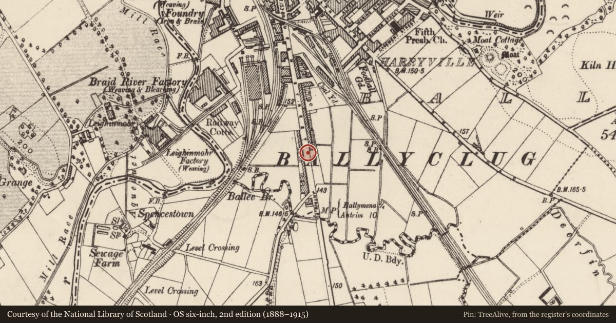 Ordnance Survey six-inch map, 2nd edition (1888–1915) covering the location of 205 Queen St., Mid and East Antrim, with a pin at the register's coordinates