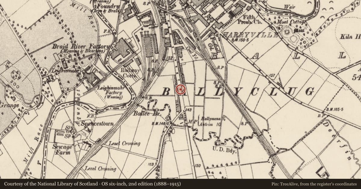 Ordnance Survey six-inch map, 2nd edition (1888–1915) covering the location of 209 Queen St., Mid and East Antrim, with a pin at the register's coordinates