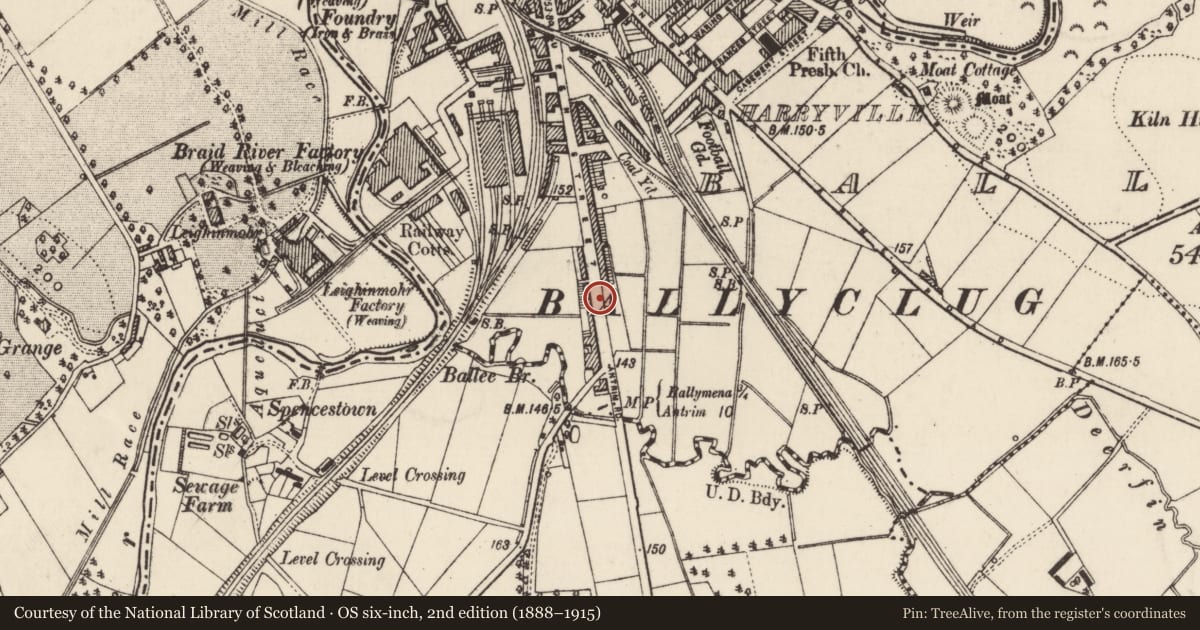 Ordnance Survey six-inch map, 2nd edition (1888–1915) covering the location of 211 Queen St., Mid and East Antrim, with a pin at the register's coordinates