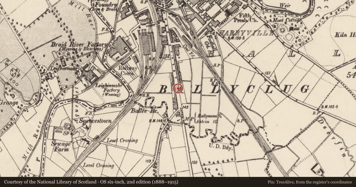 Ordnance Survey six-inch map, 2nd edition (1888–1915) covering the location of 213 Queen St., Mid and East Antrim, with a pin at the register's coordinates