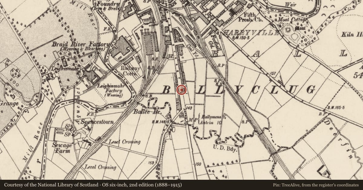 Ordnance Survey six-inch map, 2nd edition (1888–1915) covering the location of 215 Queen St., Mid and East Antrim, with a pin at the register's coordinates
