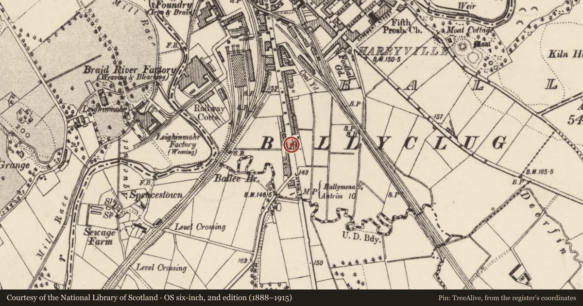 Ordnance Survey six-inch map, 2nd edition (1888–1915) covering the location of 217 Queen St., Mid and East Antrim, with a pin at the register's coordinates