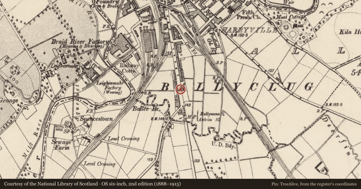 Ordnance Survey six-inch map, 2nd edition (1888–1915) covering the location of 219 Queen St., Mid and East Antrim, with a pin at the register's coordinates