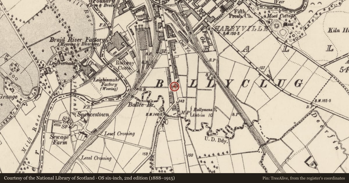 Ordnance Survey six-inch map, 2nd edition (1888–1915) covering the location of 221 Queen St., Mid and East Antrim, with a pin at the register's coordinates