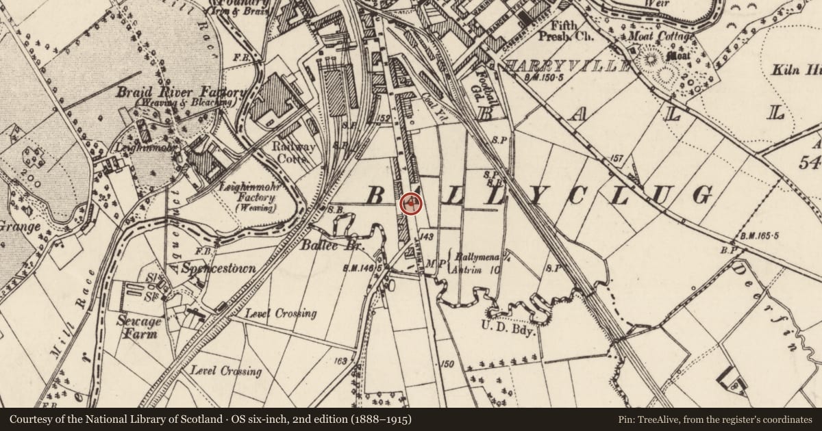 Ordnance Survey six-inch map, 2nd edition (1888–1915) covering the location of 223 Queen St., Mid and East Antrim, with a pin at the register's coordinates