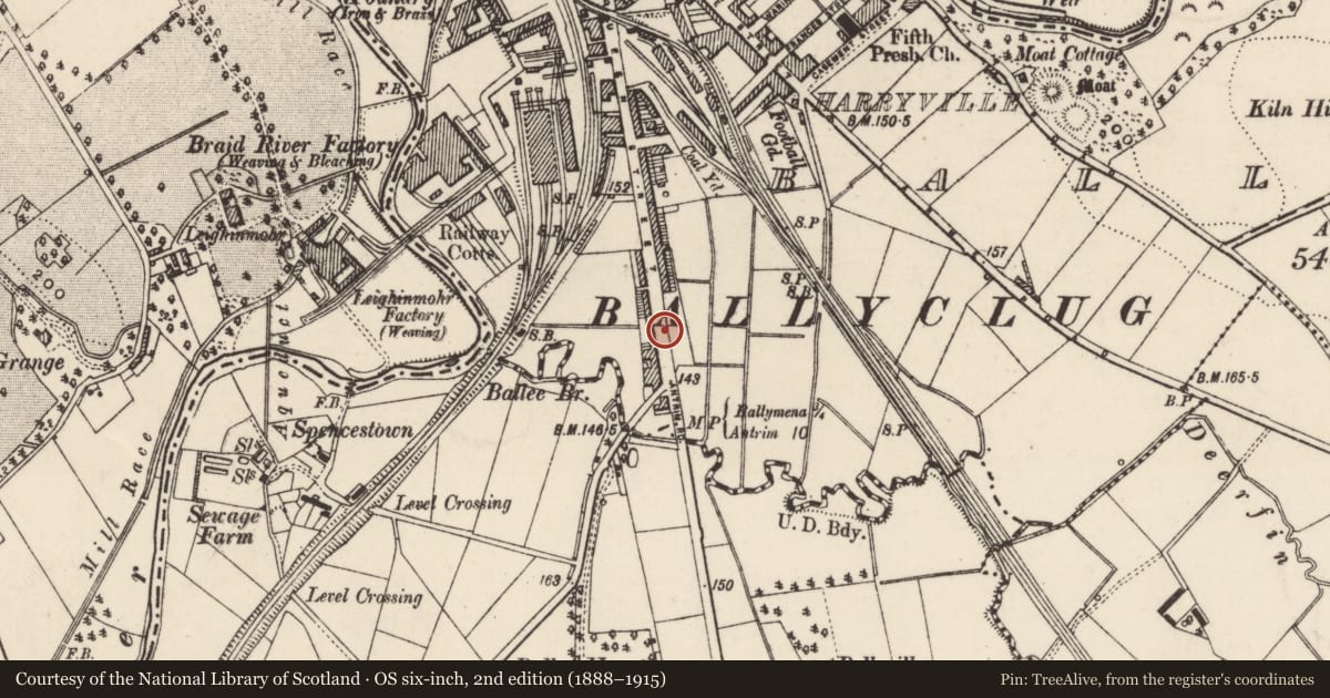 Ordnance Survey six-inch map, 2nd edition (1888–1915) covering the location of 225 Queen St., Mid and East Antrim, with a pin at the register's coordinates