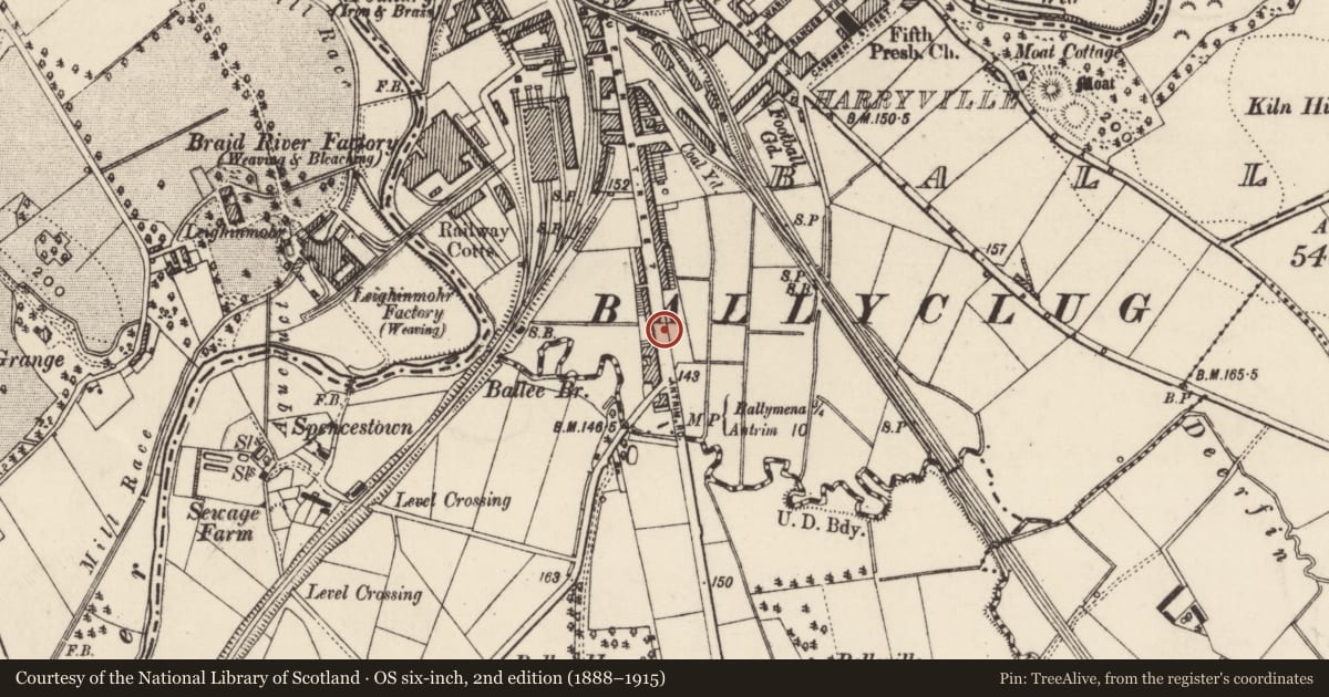Ordnance Survey six-inch map, 2nd edition (1888–1915) covering the location of 227 Queen St., Mid and East Antrim, with a pin at the register's coordinates