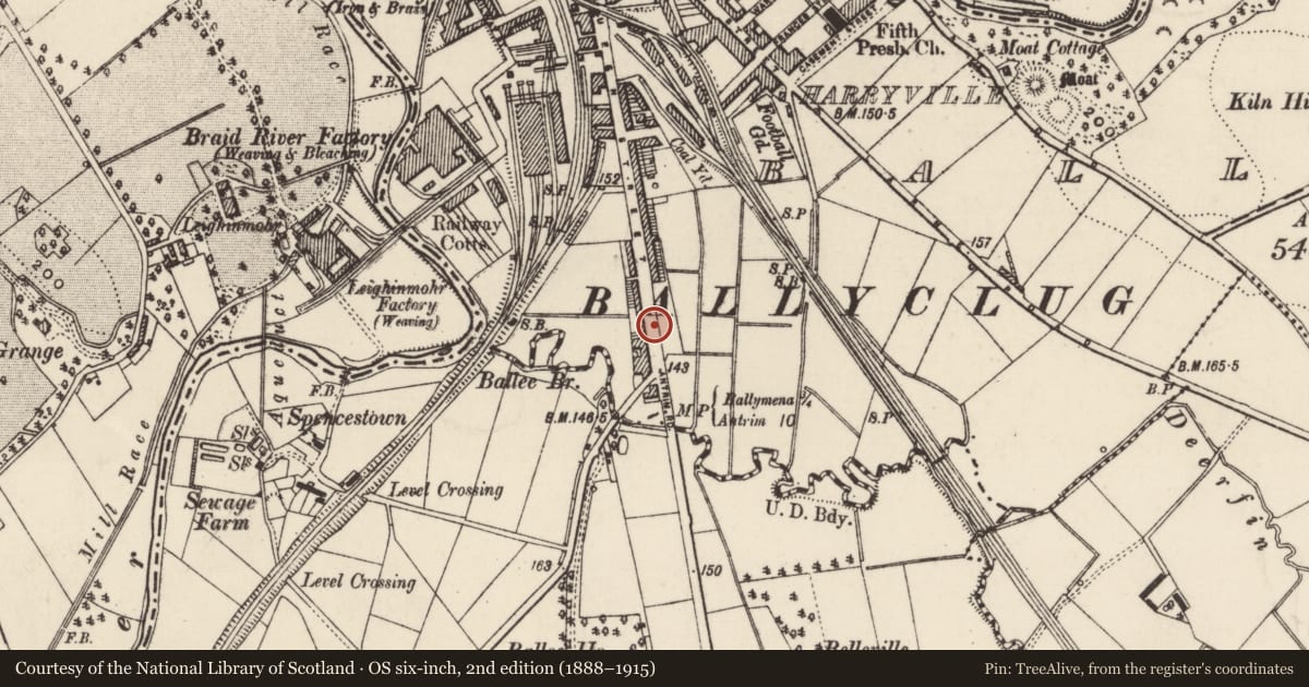 Ordnance Survey six-inch map, 2nd edition (1888–1915) covering the location of 229 Queen St., Mid and East Antrim, with a pin at the register's coordinates