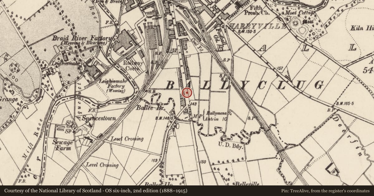 Ordnance Survey six-inch map, 2nd edition (1888–1915) covering the location of 231 Queen St., Mid and East Antrim, with a pin at the register's coordinates