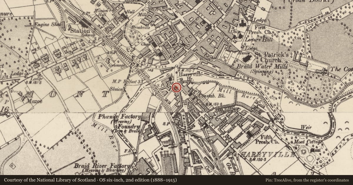 Ordnance Survey six-inch map, 2nd edition (1888–1915) covering the location of 3-5 Henry St., Mid and East Antrim, with a pin at the register's coordinates