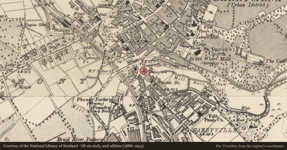 Ordnance Survey six-inch map, 2nd edition (1888–1915) covering the location of 2, 2A AND 2B Henry St., Mid and East Antrim, with a pin at the register's coordinates