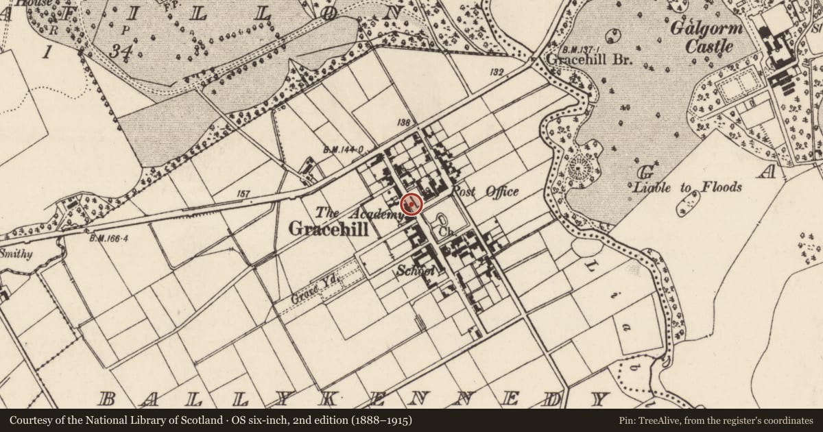 Ordnance Survey six-inch map, 2nd edition (1888–1915) covering the location of County Primary School, Mid and East Antrim, with a pin at the register's coordinates