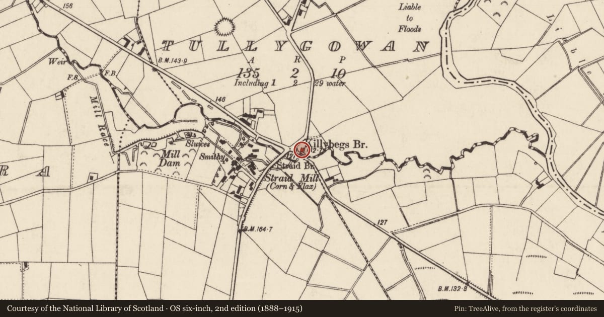 Ordnance Survey six-inch map, 2nd edition (1888–1915) covering the location of Killybegs Bridge, Mid and East Antrim, with a pin at the register's coordinates