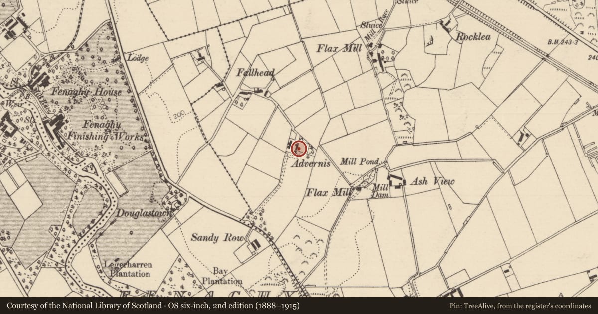 Ordnance Survey six-inch map, 2nd edition (1888–1915) covering the location of ARDVERNIS, Mid and East Antrim, with a pin at the register's coordinates