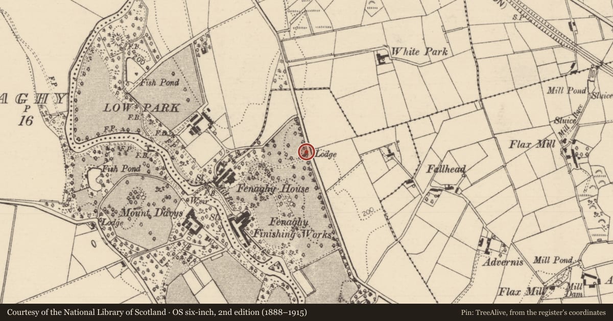 Ordnance Survey six-inch map, 2nd edition (1888–1915) covering the location of Lodge At Fenaghy House, Mid and East Antrim, with a pin at the register's coordinates