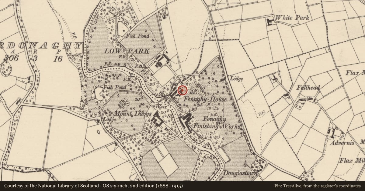 Ordnance Survey six-inch map, 2nd edition (1888–1915) covering the location of Fenaghy House, Mid and East Antrim, with a pin at the register's coordinates