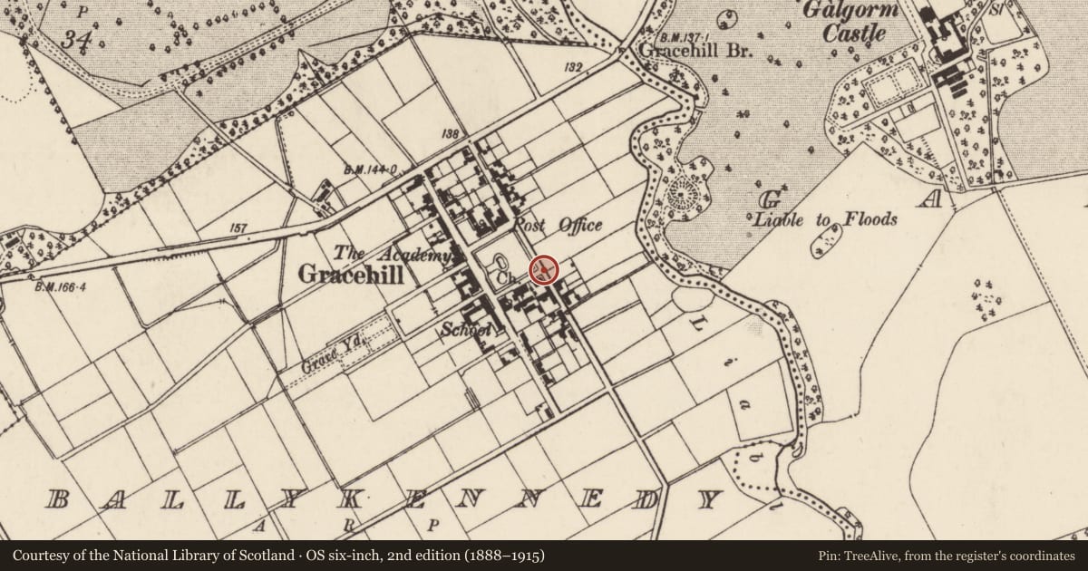 Ordnance Survey six-inch map, 2nd edition (1888–1915) covering the location of 8 Montgomery St., Mid and East Antrim, with a pin at the register's coordinates