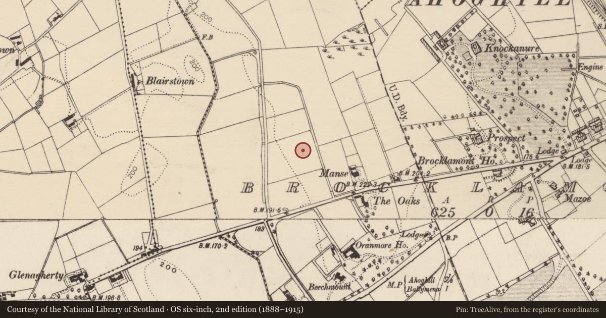 Ordnance Survey six-inch map, 2nd edition (1888–1915) covering the location of 4 Brocklamont Park, Mid and East Antrim, with a pin at the register's coordinates