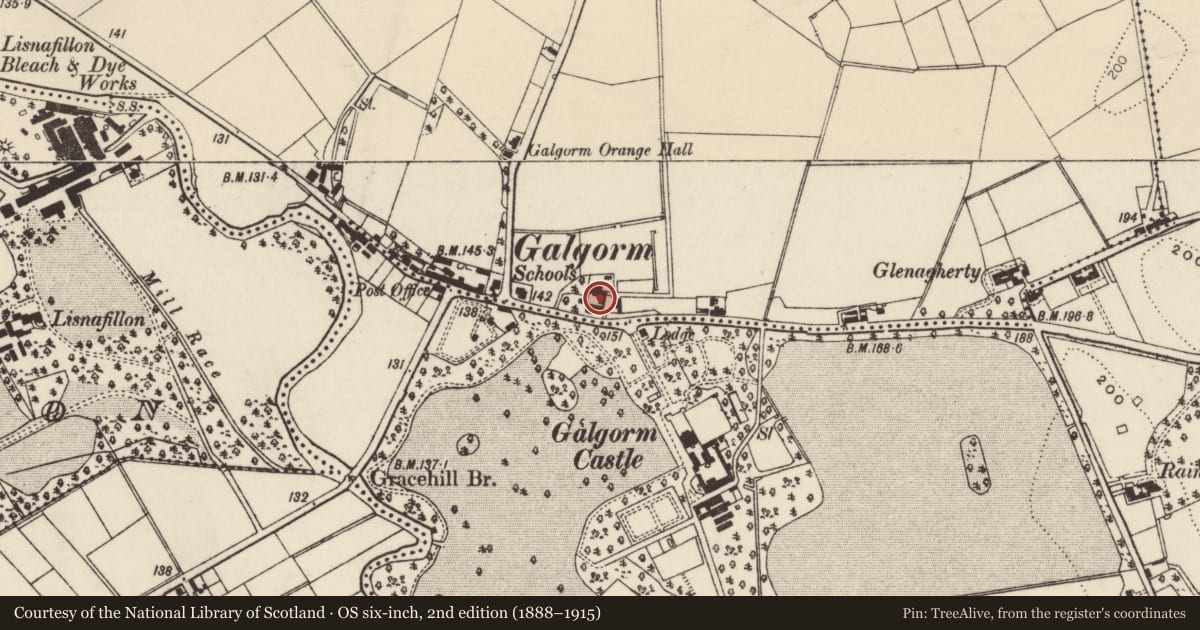 Ordnance Survey six-inch map, 2nd edition (1888–1915) covering the location of 189-191 Galgorm Road, Galgorm Parks, Mid and East Antrim, with a pin at the register's coordinates