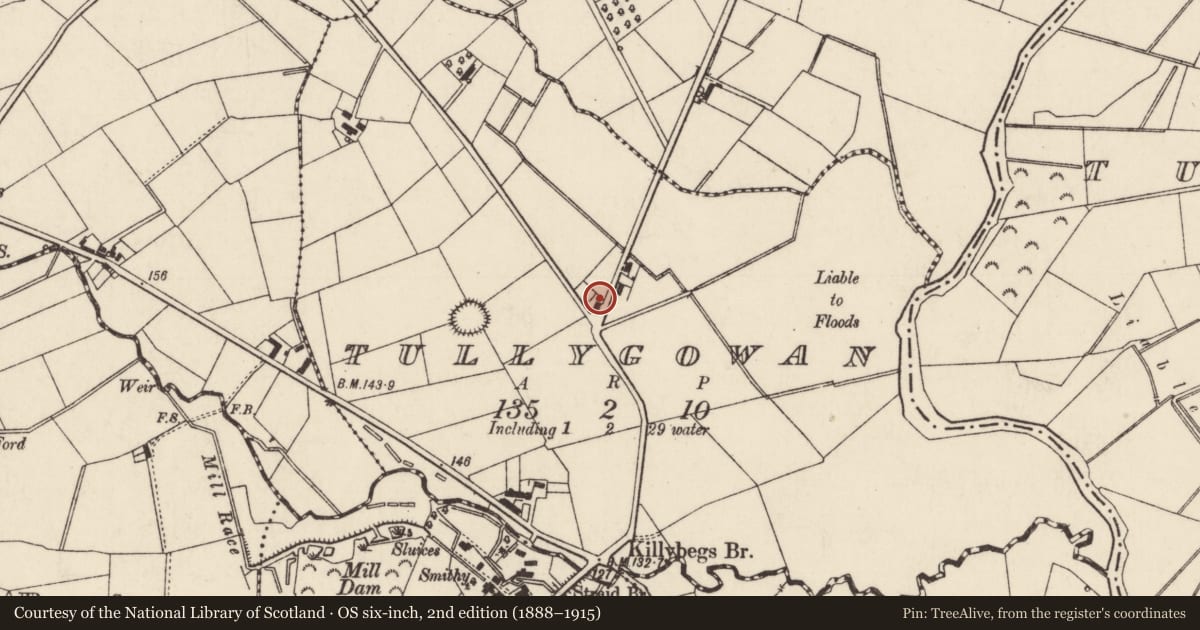 Ordnance Survey six-inch map, 2nd edition (1888–1915) covering the location of 71 Nursery Road Gracehill Tullygowan Ballymena Co. Antrim BT42 2QA, Mid and East Antrim, with a pin at the register's coordinates