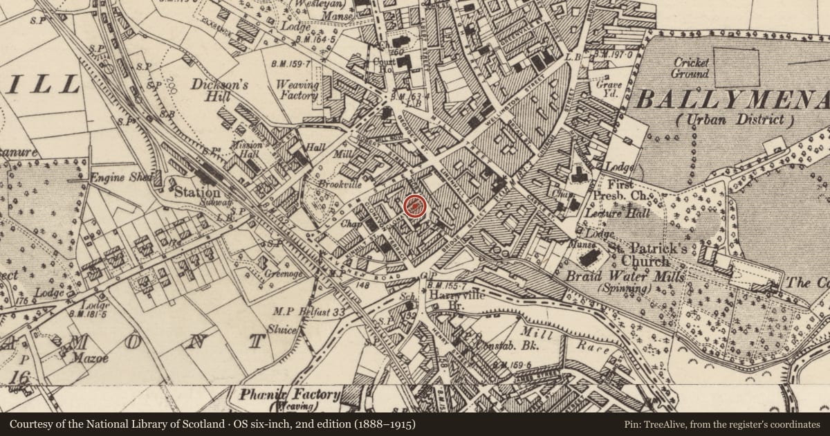 Ordnance Survey six-inch map, 2nd edition (1888–1915) covering the location of 12 Clonavon Road, Mid and East Antrim, with a pin at the register's coordinates