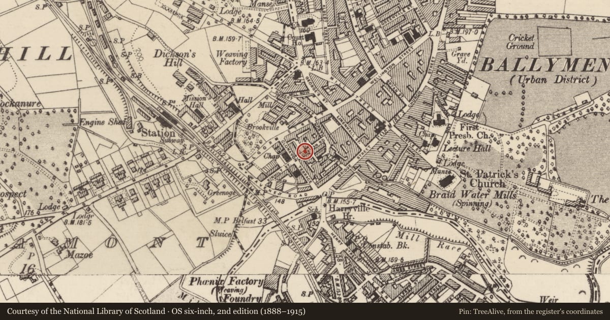 Ordnance Survey six-inch map, 2nd edition (1888–1915) covering the location of 28 Clonavon Road, Mid and East Antrim, with a pin at the register's coordinates
