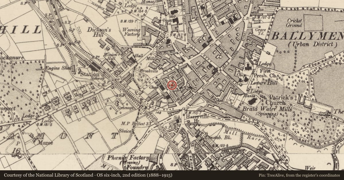 Ordnance Survey six-inch map, 2nd edition (1888–1915) covering the location of 30 Clonavon Road, Mid and East Antrim, with a pin at the register's coordinates
