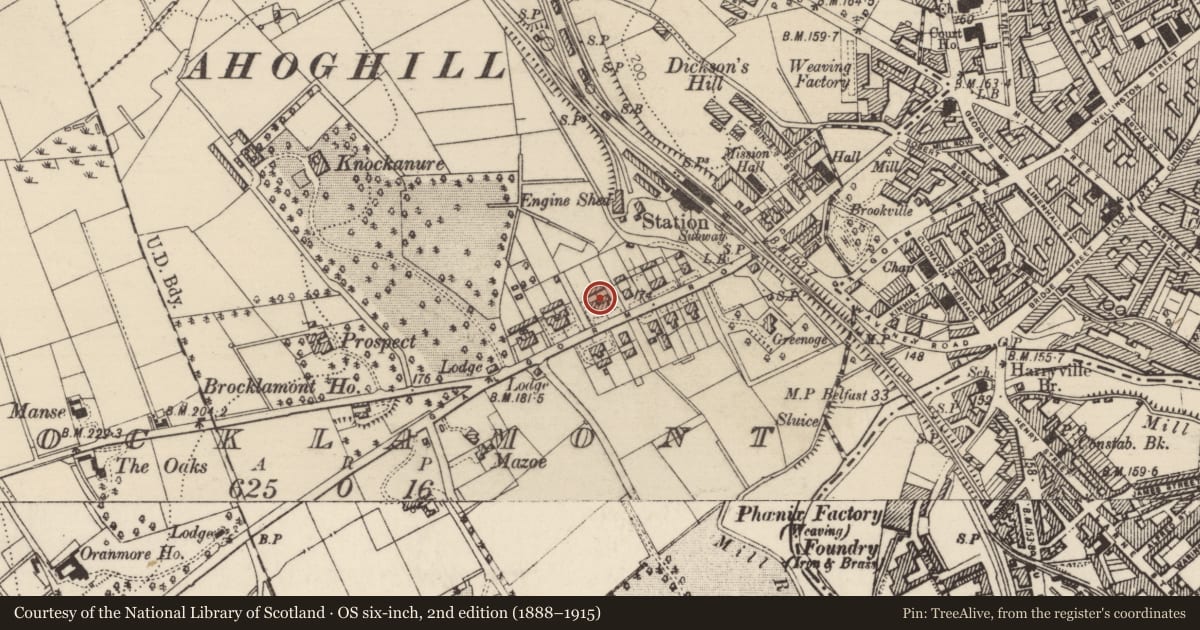 Ordnance Survey six-inch map, 2nd edition (1888–1915) covering the location of 77 Galgorm Rd, Mid and East Antrim, with a pin at the register's coordinates